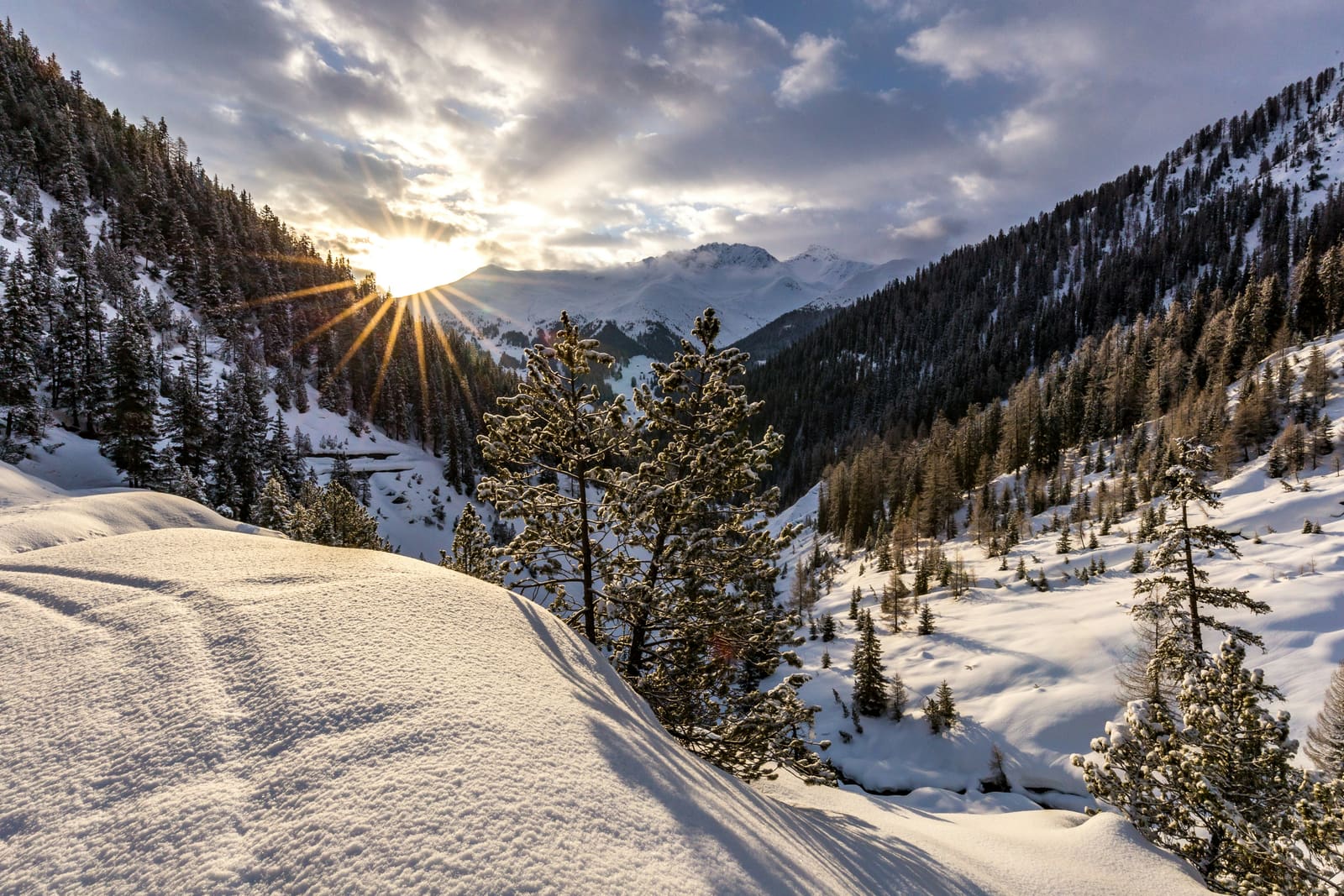Sonne bricht über einem verschneiten Bergtal mit Lärchen und Tannen durch