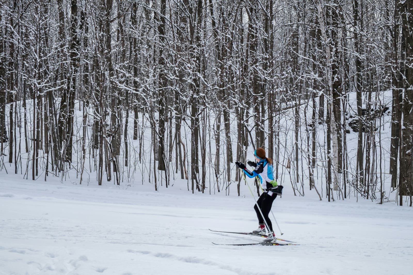 Eine Langläuferin im Skating-Schritt vor einem kahlen Winterwald.