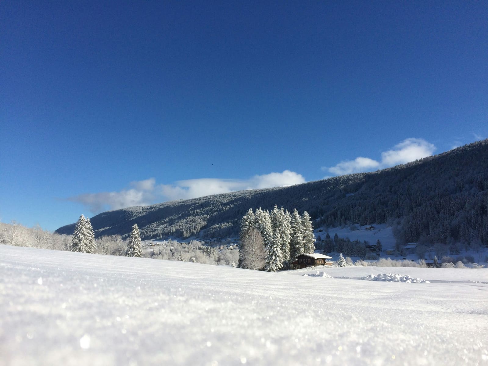 Glitzerndes Schneefeld mit Chalet und verschneitem Waldhang unter tiefblauem Himmel