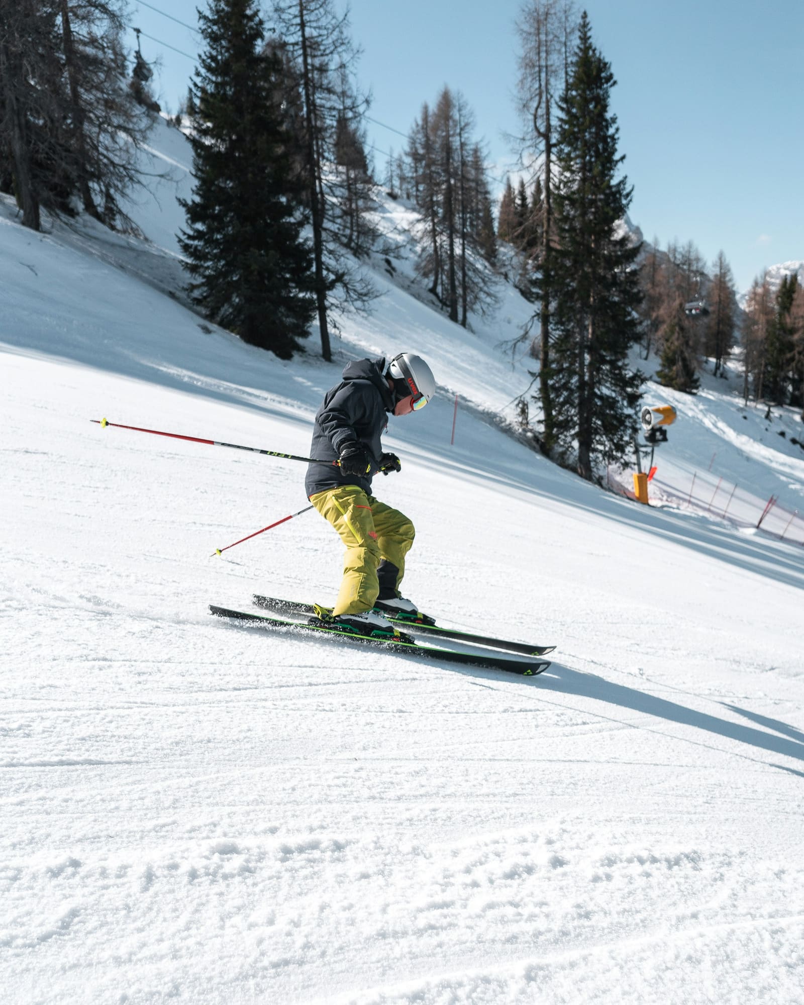 Skifahrer carvt auf einer präparierten Piste zwischen Lärchen