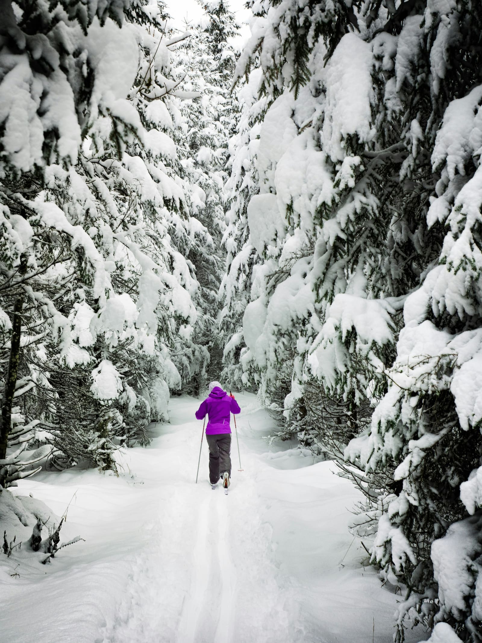 Eine Person in violetter Jacke geht durch einen tief verschneiten Wald.